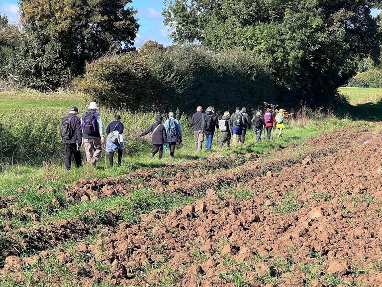 KCC PROW Volunteer Newsletter October 2026